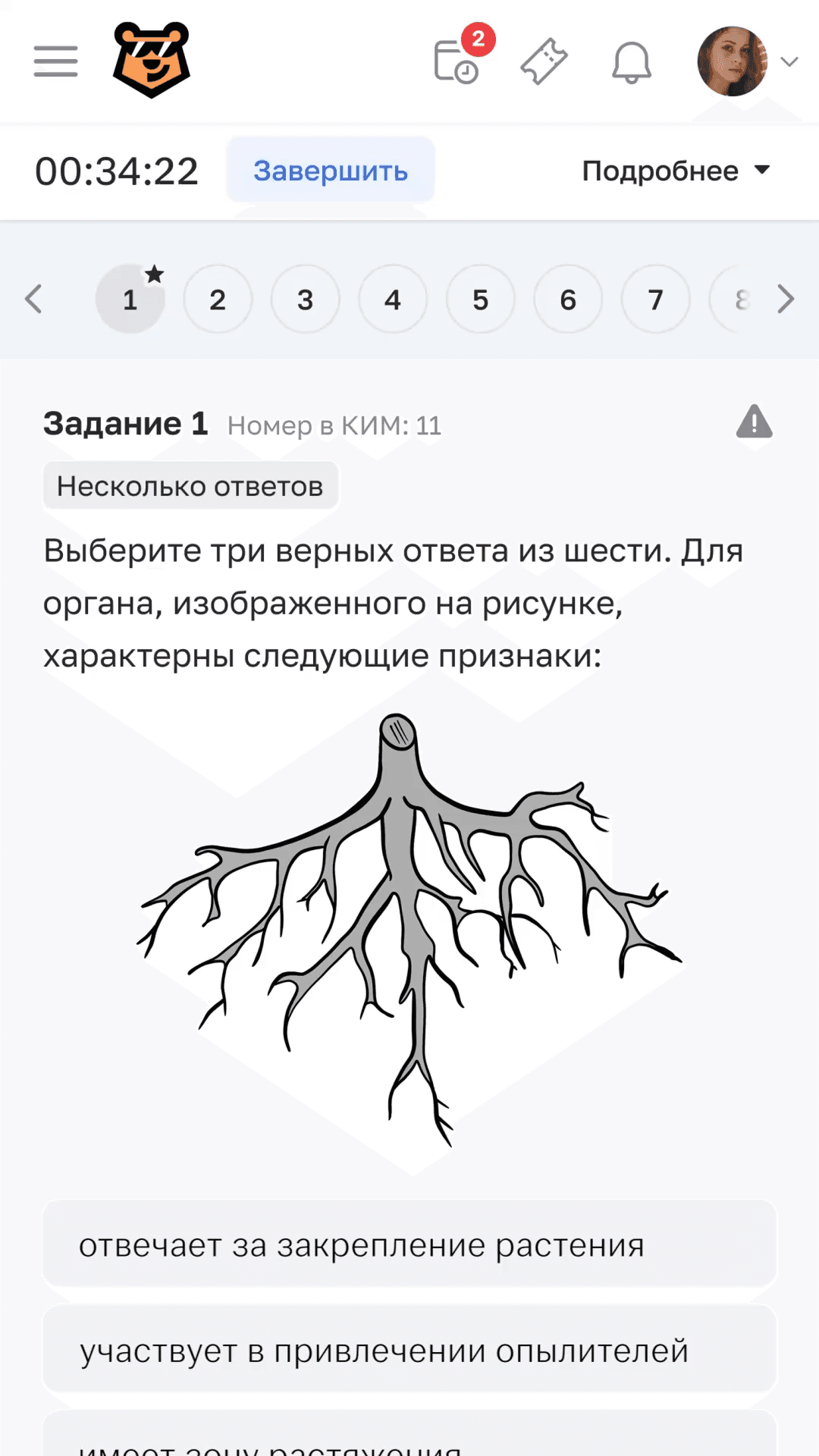 Превью видео: Закрепим весь материал на&nbsp;практике