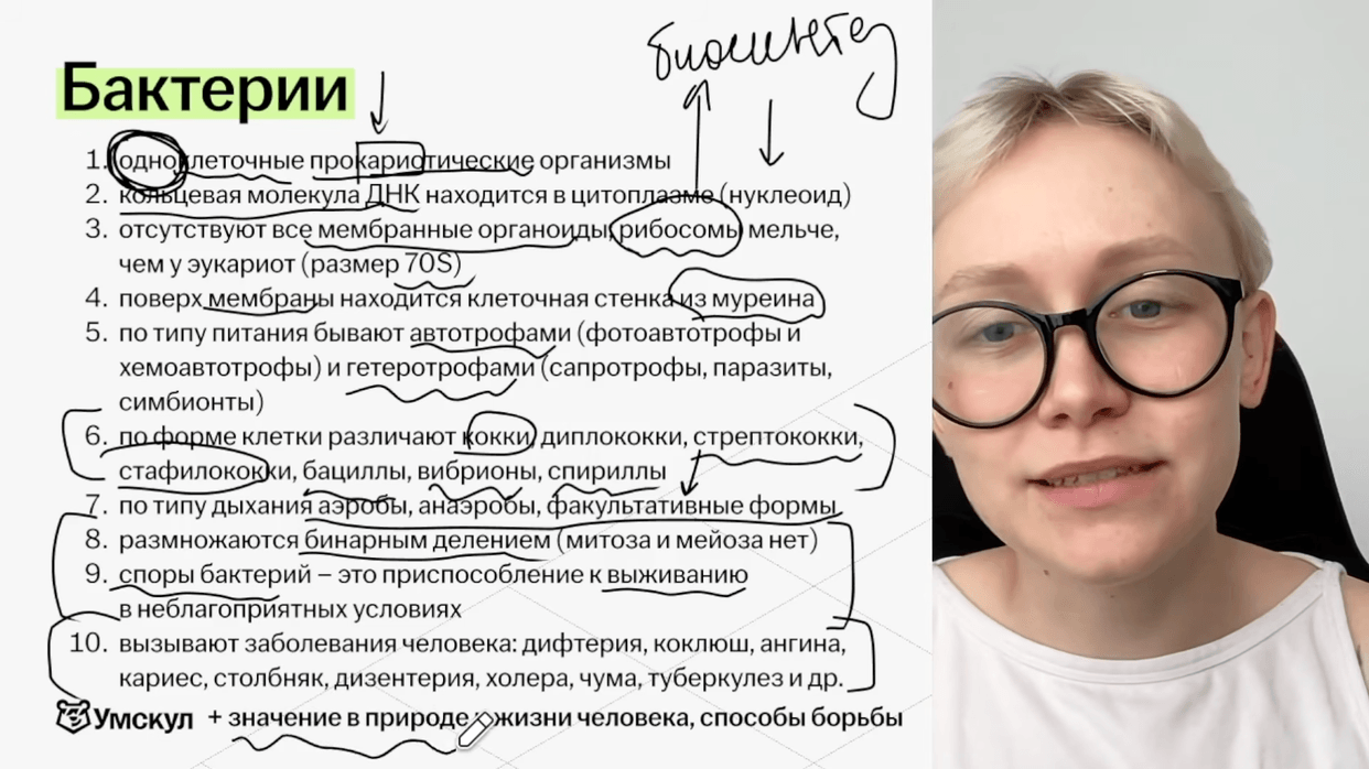 Изучение теории с практикой