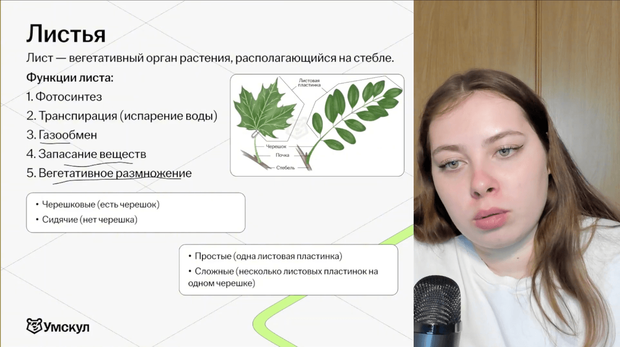 Изучение теории с практикой