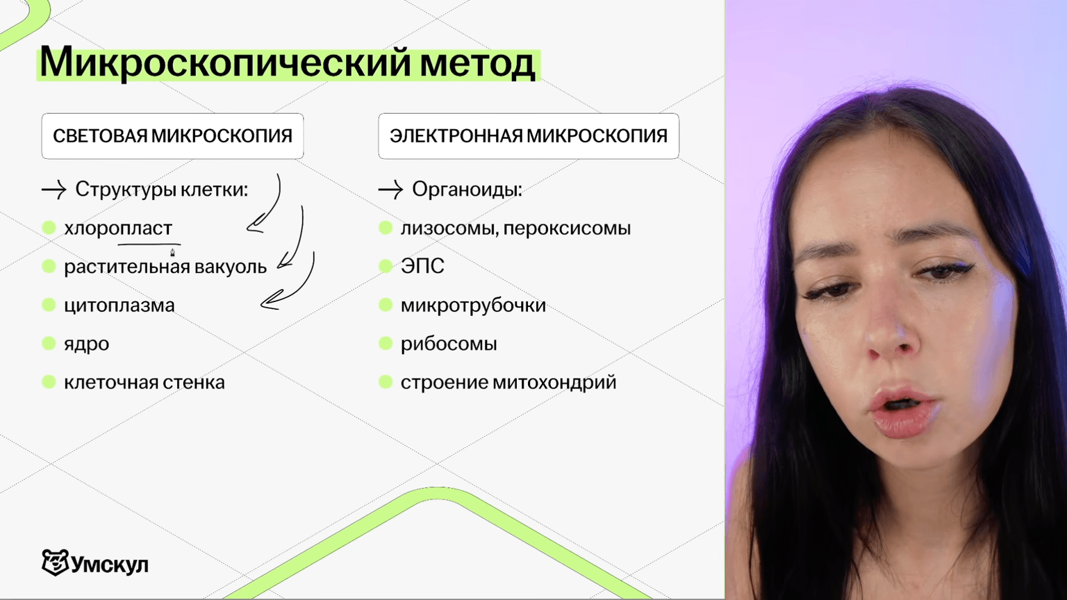 Изучение теории с практикой