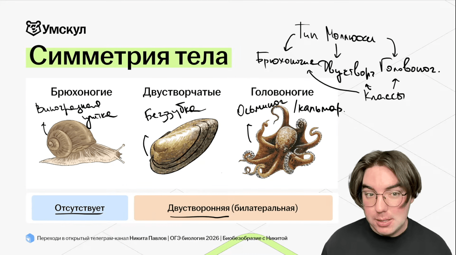 Изучение теории с практикой