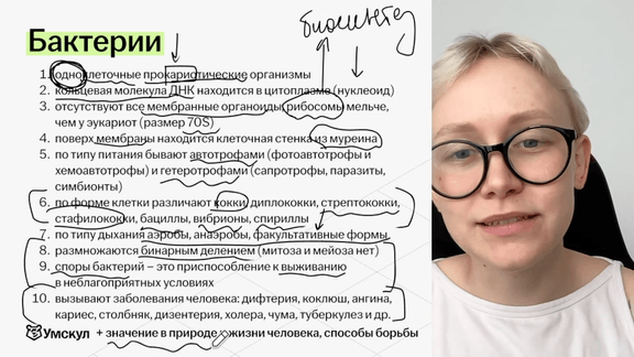 Изучение теории с практикой