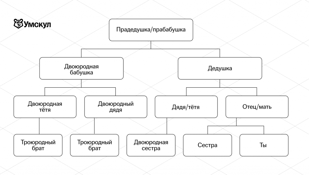 Нисходящее древо