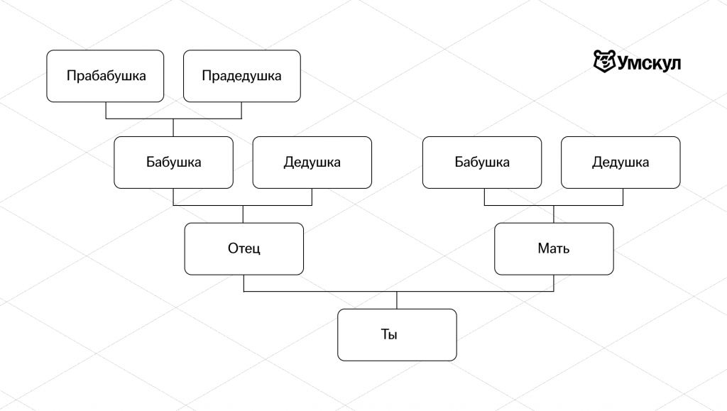 Восходящее древо