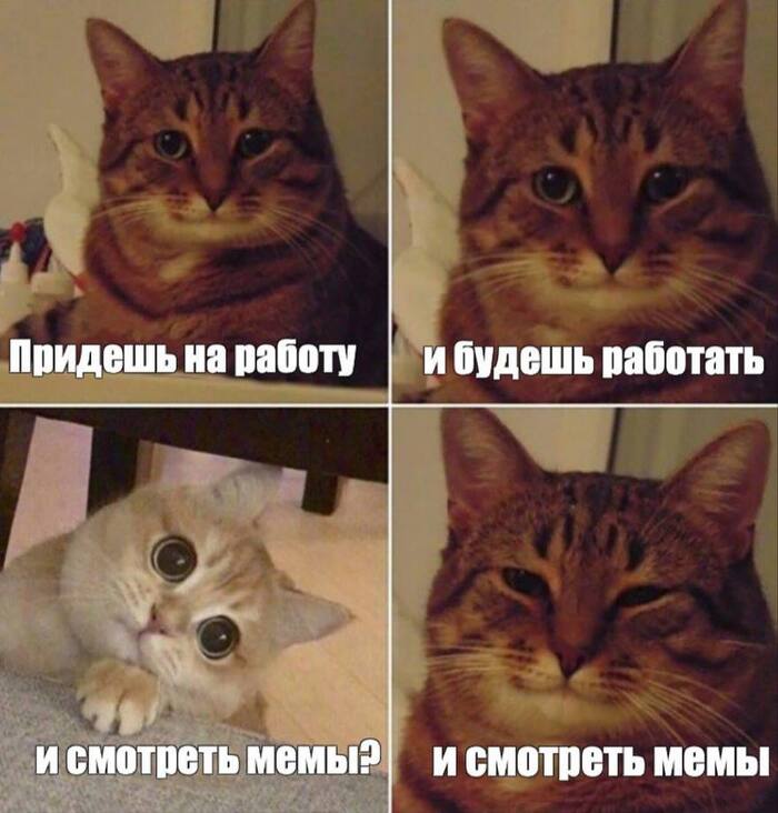 СММ