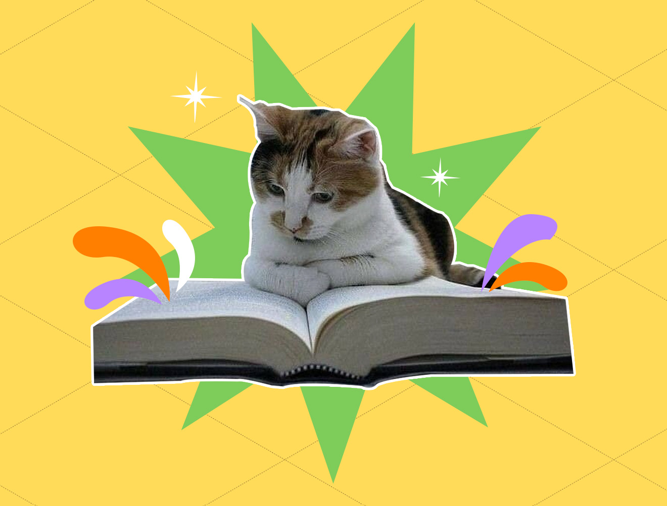 Топ-5 book genres для твоей chill era