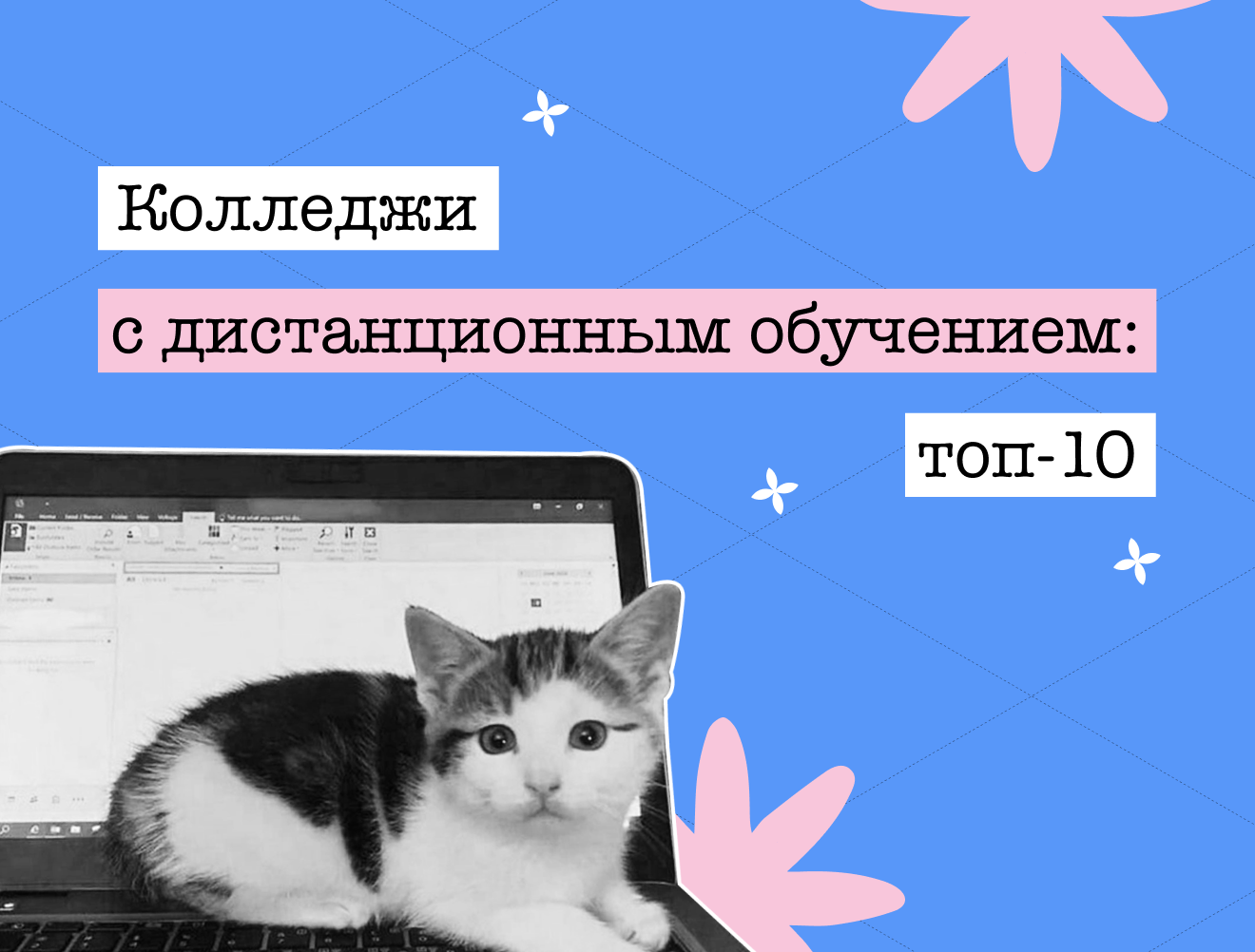 Топ-10 колледжей для учёбы на удалёнке