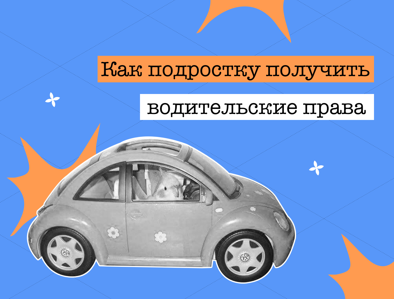 «Дави на газ»: как подростку получить водительские права