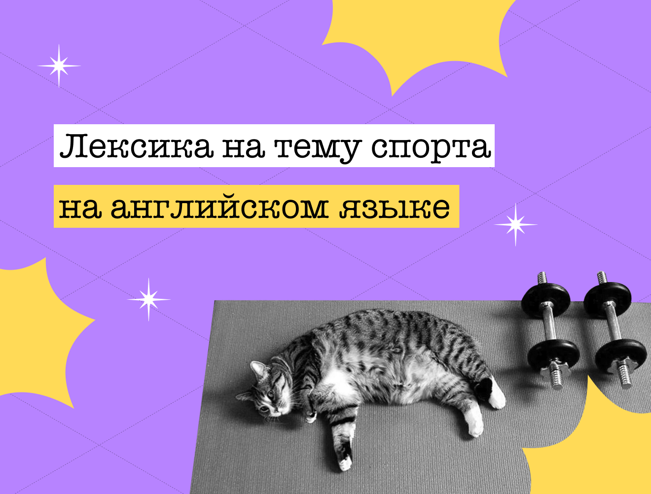 Спортивная лексика по английскому языку для ЕГЭ и ОГЭ