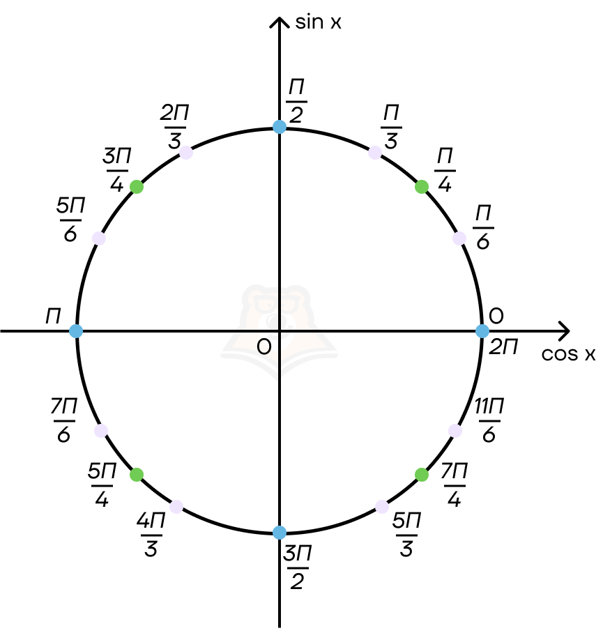 Точки тригонометрического круга. Единичная окружность тригонометрия 10. Числовая окружность тригонометрия 10 класс. Тригонометрия 10 класс круг. Тригонометрический круг единичная окружность.