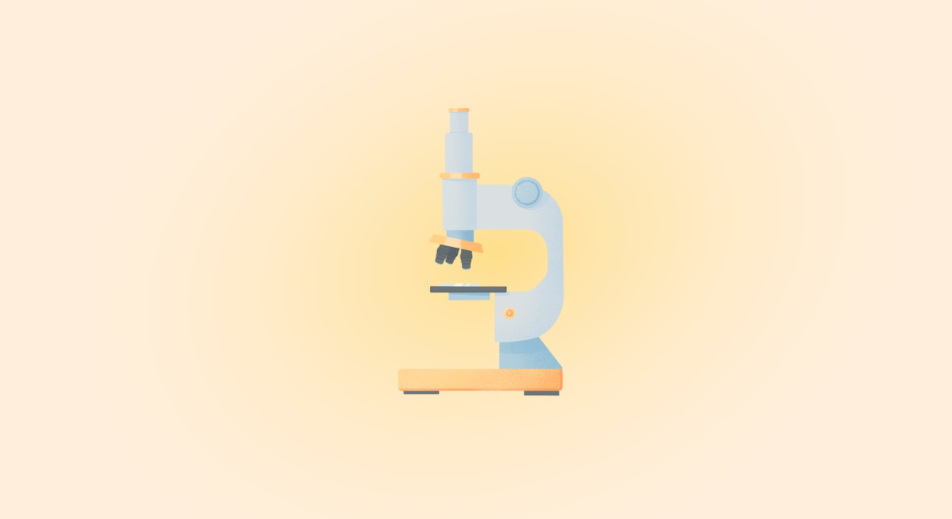 Обществознание