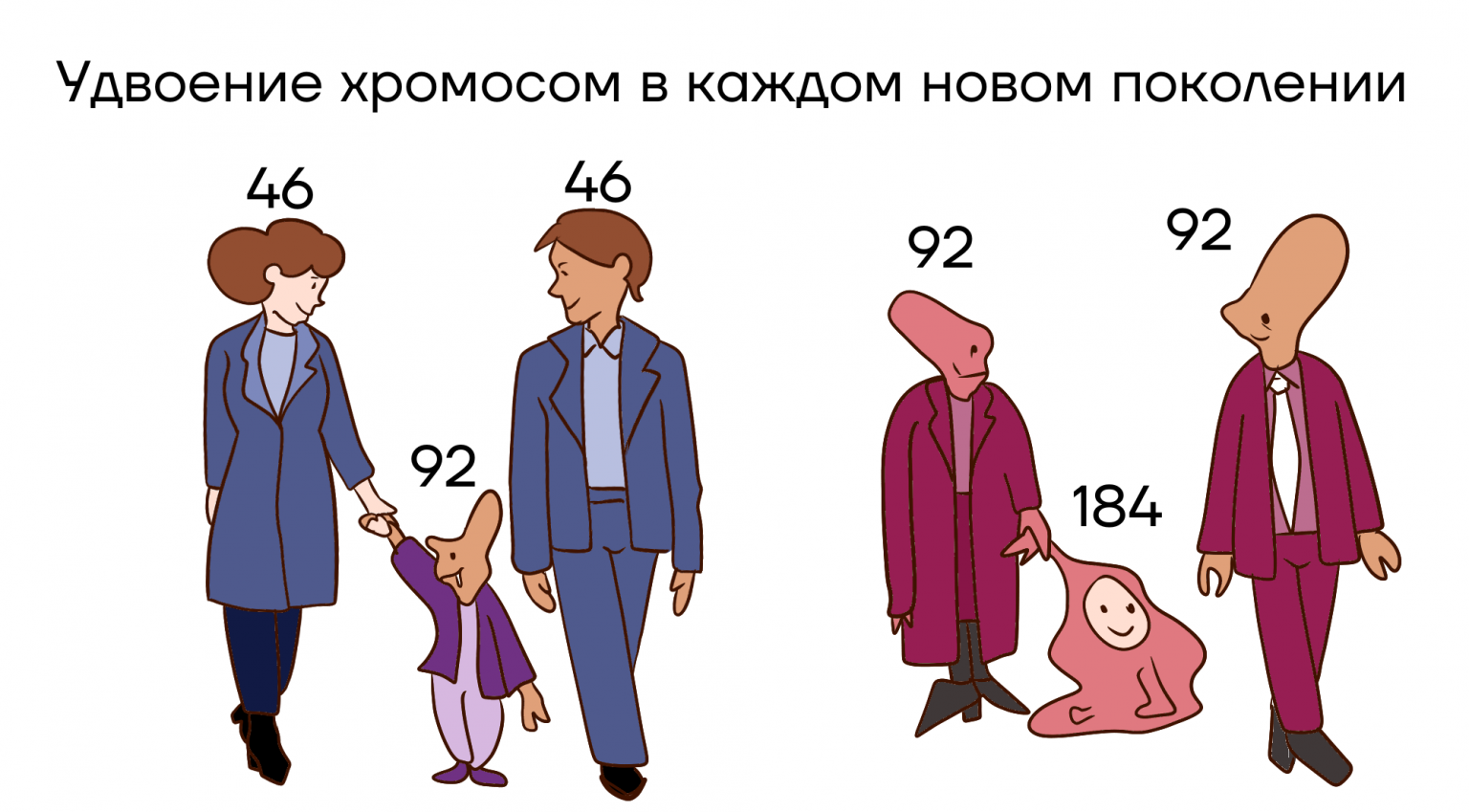 Мейоз - Умскул Учебник