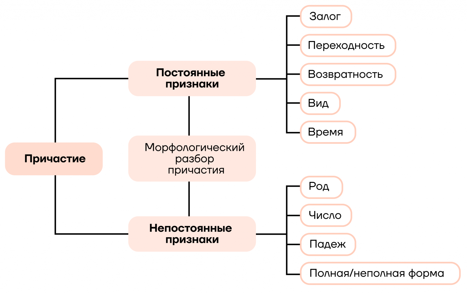 Самое важное про причастия, деепричастия - Умскул Учебник